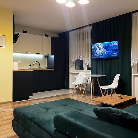 Komfortowy Apartament W Centrum Jaworzno Kültér fotó